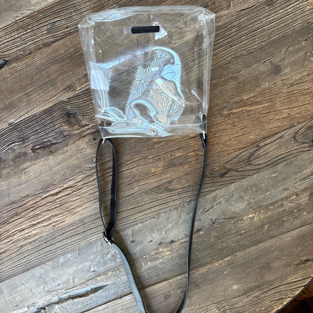 Clear Crossbody Bag with Black Strap